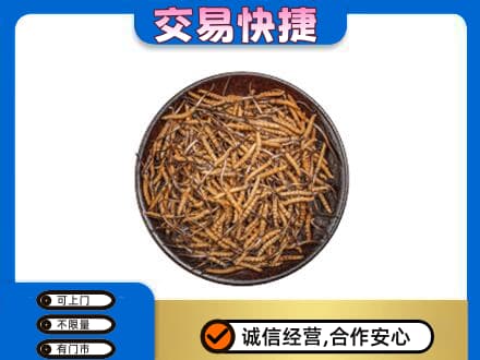 葫芦岛市连山回收散虫草